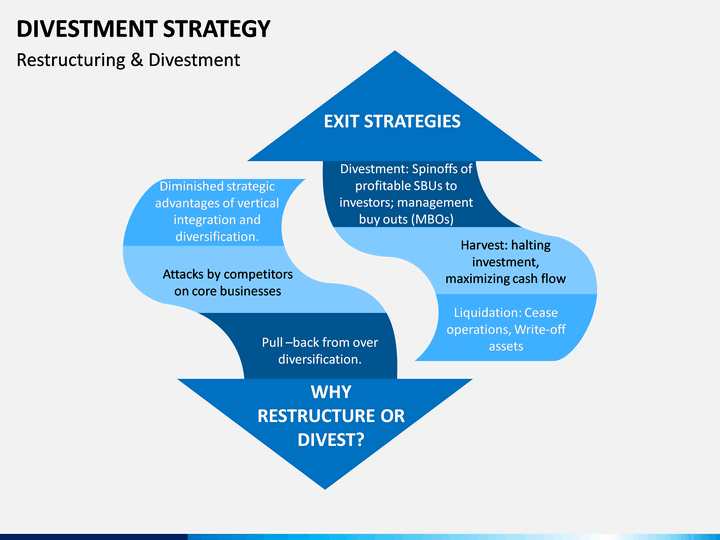 divestment-strategy- Shuubhankar & Co