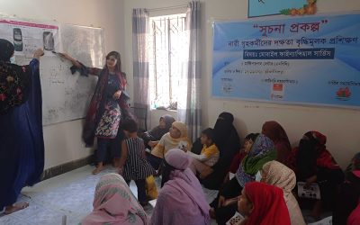 Screenshot 2024-11-25 204806_enhanced_11_11zon